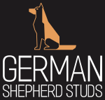 German Shepherd Studs
